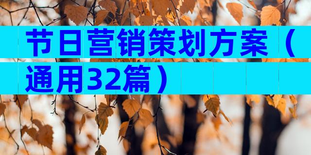 节日营销策划方案（通用32篇）