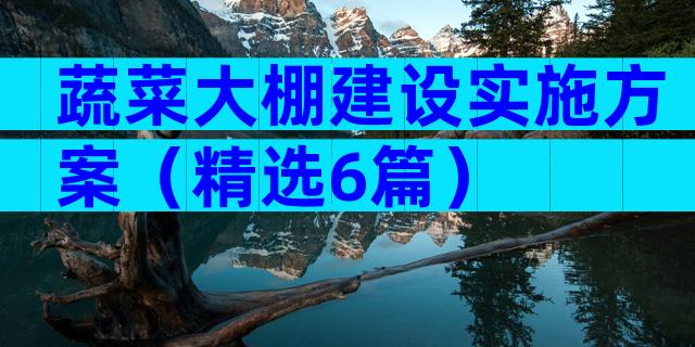 蔬菜大棚建设实施方案（精选6篇）