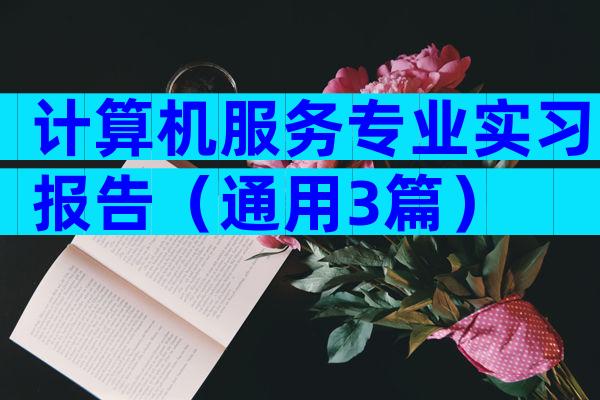 计算机服务专业实习报告（通用3篇）