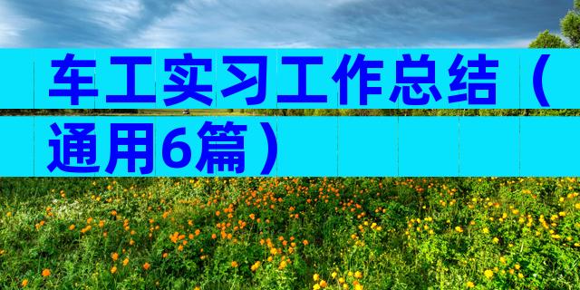 车工实习工作总结（通用6篇）