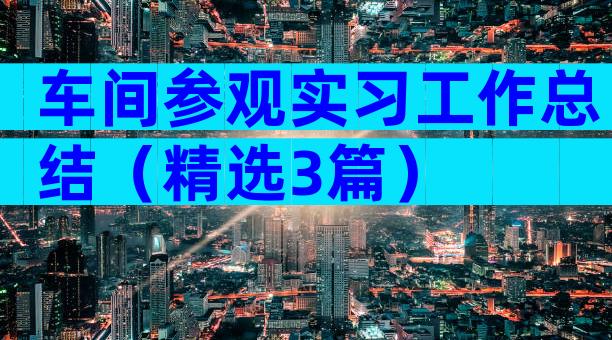 车间参观实习工作总结（精选3篇）