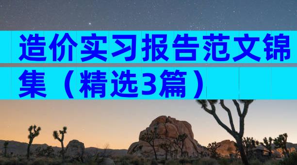 造价实习报告范文锦集（精选3篇）