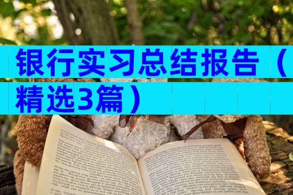 银行实习总结报告（精选3篇）