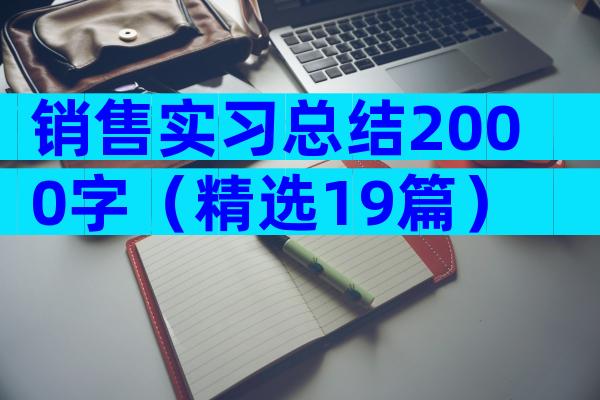 销售实习总结2000字（精选19篇）