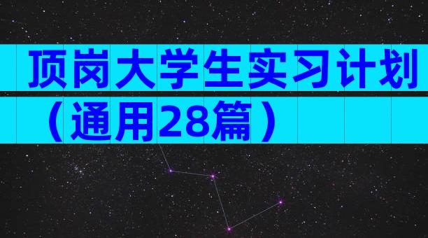 顶岗大学生实习计划（通用28篇）