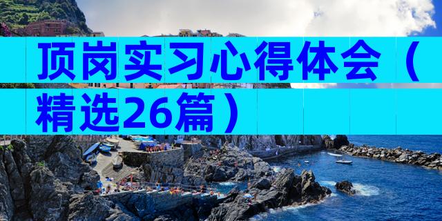 顶岗实习心得体会（精选26篇）