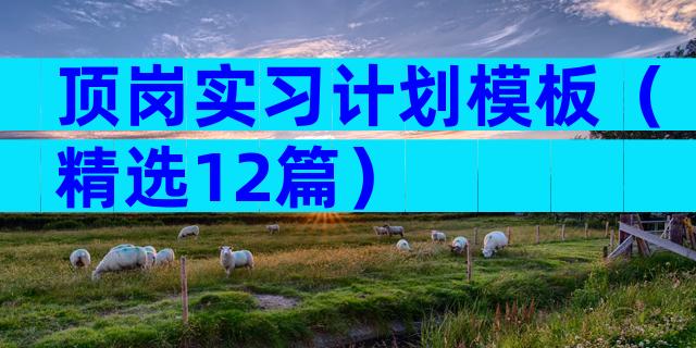 顶岗实习计划模板（精选12篇）