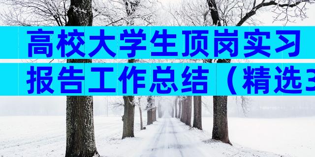 高校大学生顶岗实习报告工作总结（精选31篇）